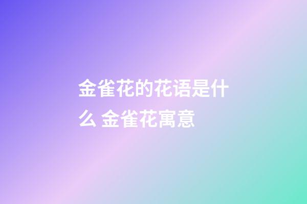 金雀花的花语是什么 金雀花寓意